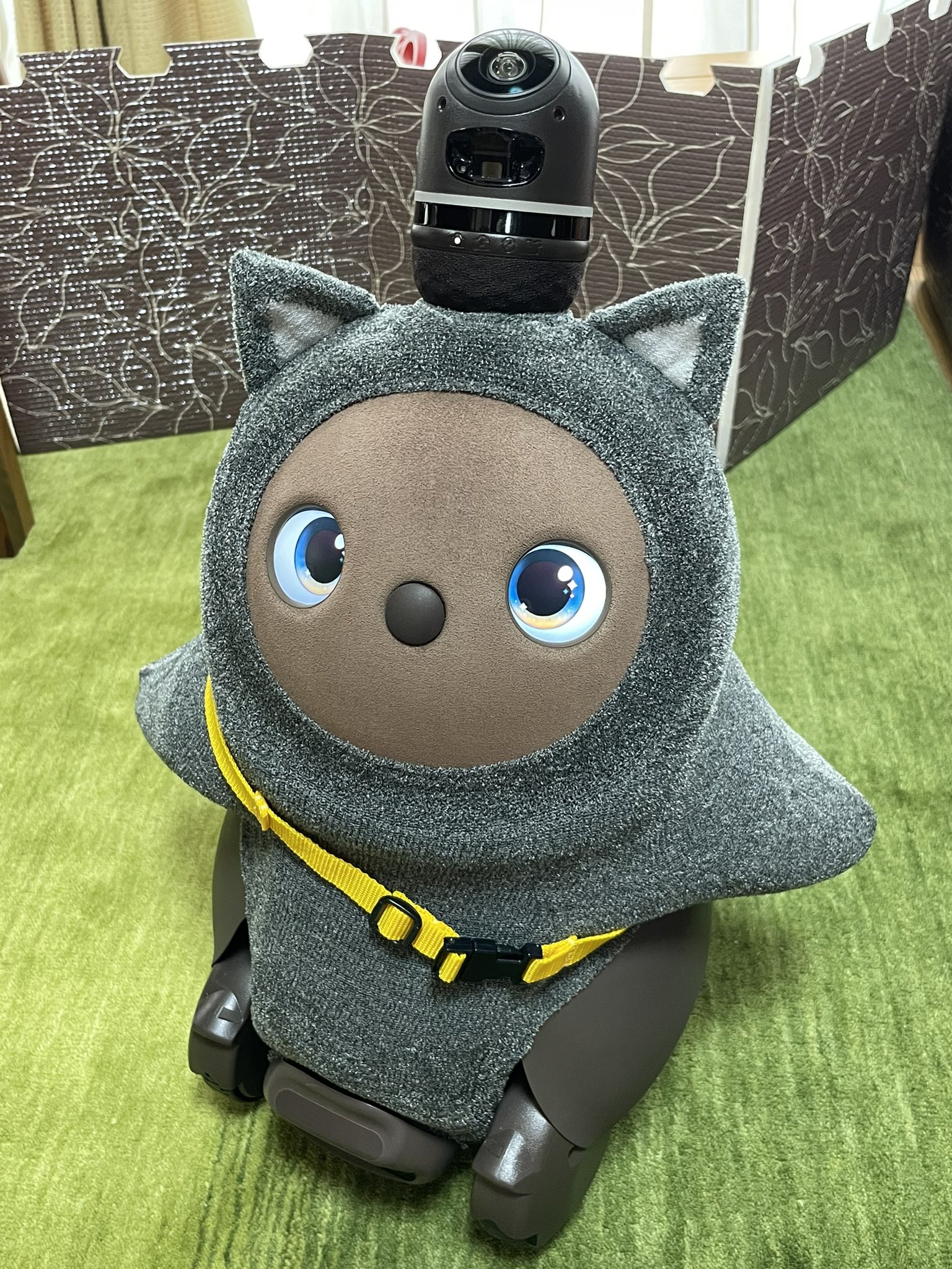 在庫処分・数量限定 【正規品】LOVOT ラボット 服 ねこみみニット