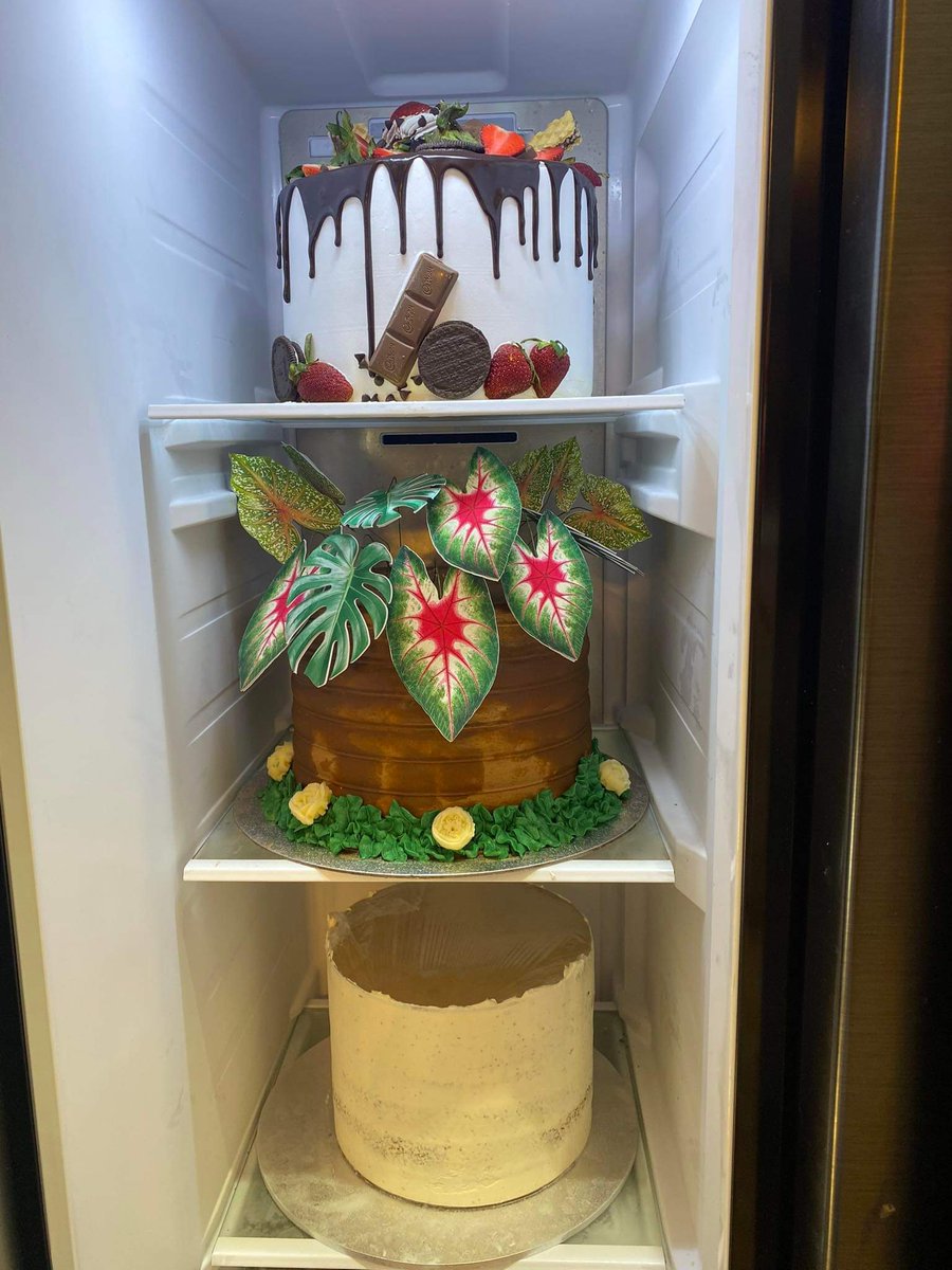 justbakecoz's tweet image. Insert chill mode song...

#justBAKEcoz