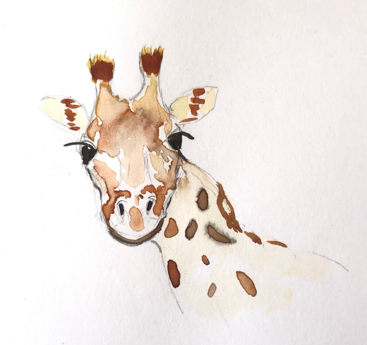 Morning #UKGiftHour #UKGiftAM Can I flutter my eyelashes at you? Giraffe Handmade Watercolour Childrens Birthday Card etsy.me/3mFTZcM #TMTinsta #QueenOf ⁦<a href="/TheCraftersUK/">.</a>⁩
#MJNWVIP