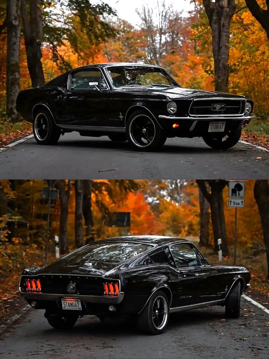 1967 Ford Mustang🔥