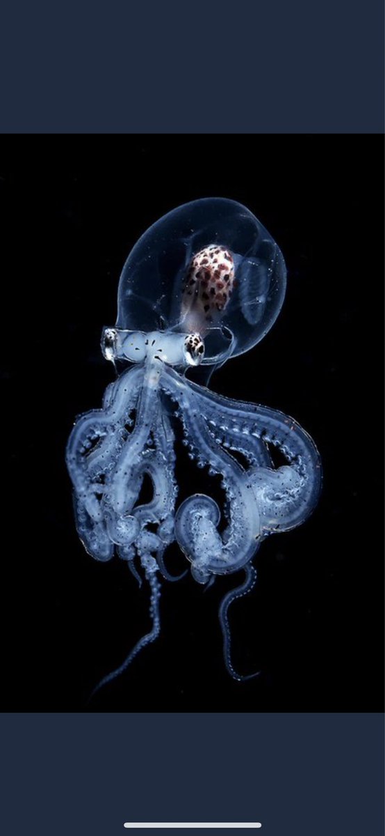 Positivity is the realistic assessment of the current situation and identifying the positive actions required to move forward. #positivity #Attitude #business #entrepreneurs  #LifeLessons #ThinkBIGSundayWithMarsha <a href="/marshawright/">Real Marsha Wright®</a>