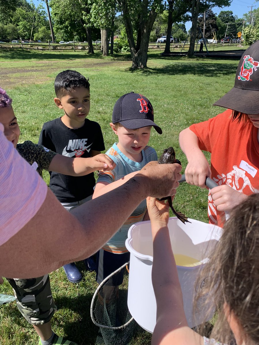 Kathleen O'Shea tweet media