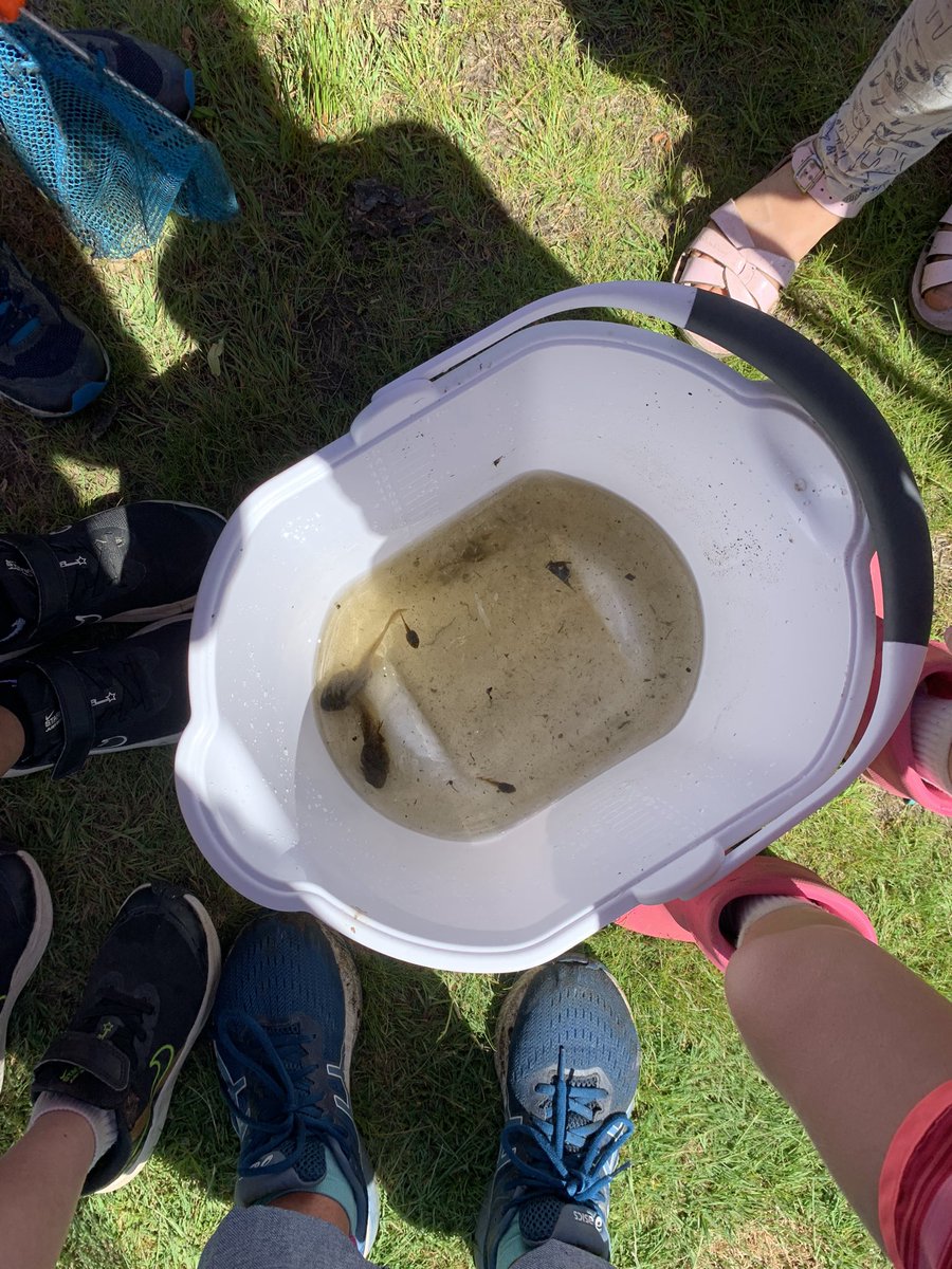 Kathleen O'Shea tweet media