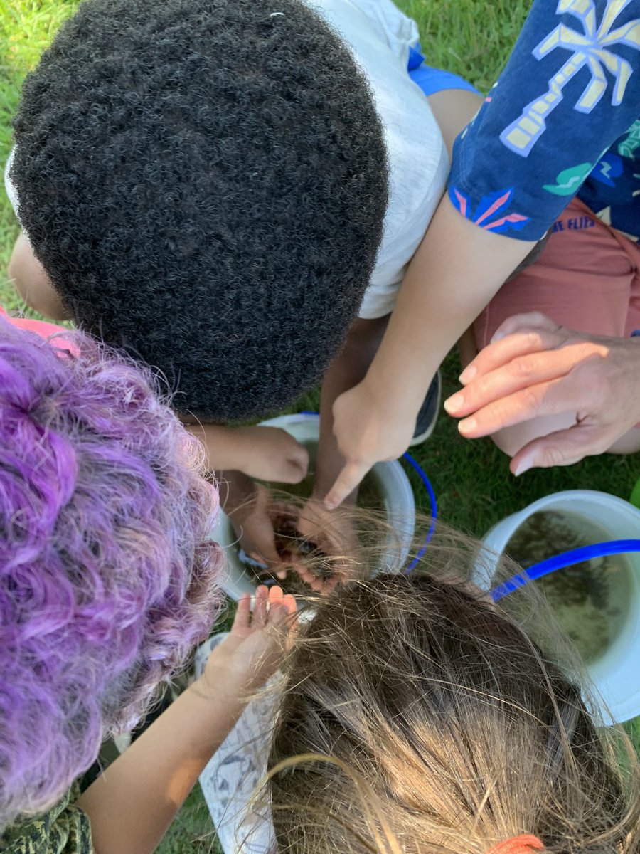 Kathleen O'Shea tweet media