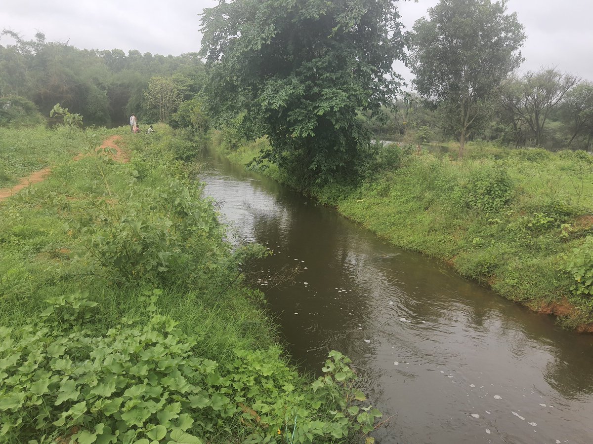 Only solution to manage water shortage of Bangalore in future is only through identifying , encroachment eviction and restoration of stromwater drains/rajakaluvaes,and connecting them with each other to connect with 800 networked lakes.

Nothing else can work . 
RT if agree .