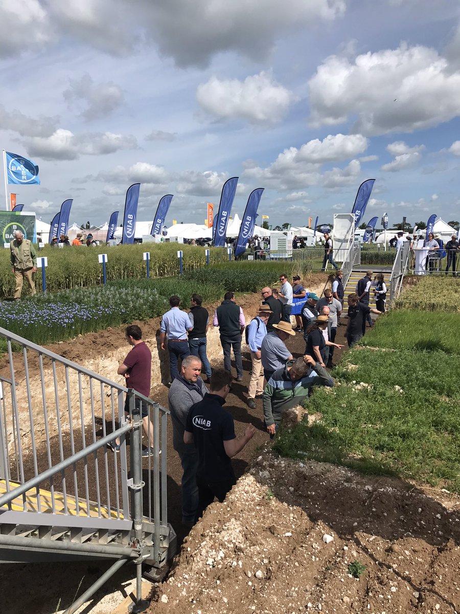 sixinchessoil's tweet photo. A days filming @CerealsEvent - @niabgroup soil pit, robotics, latest shiny machinery, arable equipment, great interviews thanks to @AHDB_Arabletech talks on #GE, #agritech, #innovations, #verticalfarming, #precision, #lowinputs, #efficiency @AHDB_Cereals @SmallRobotTom https://t.co/XhsNVAY2U9