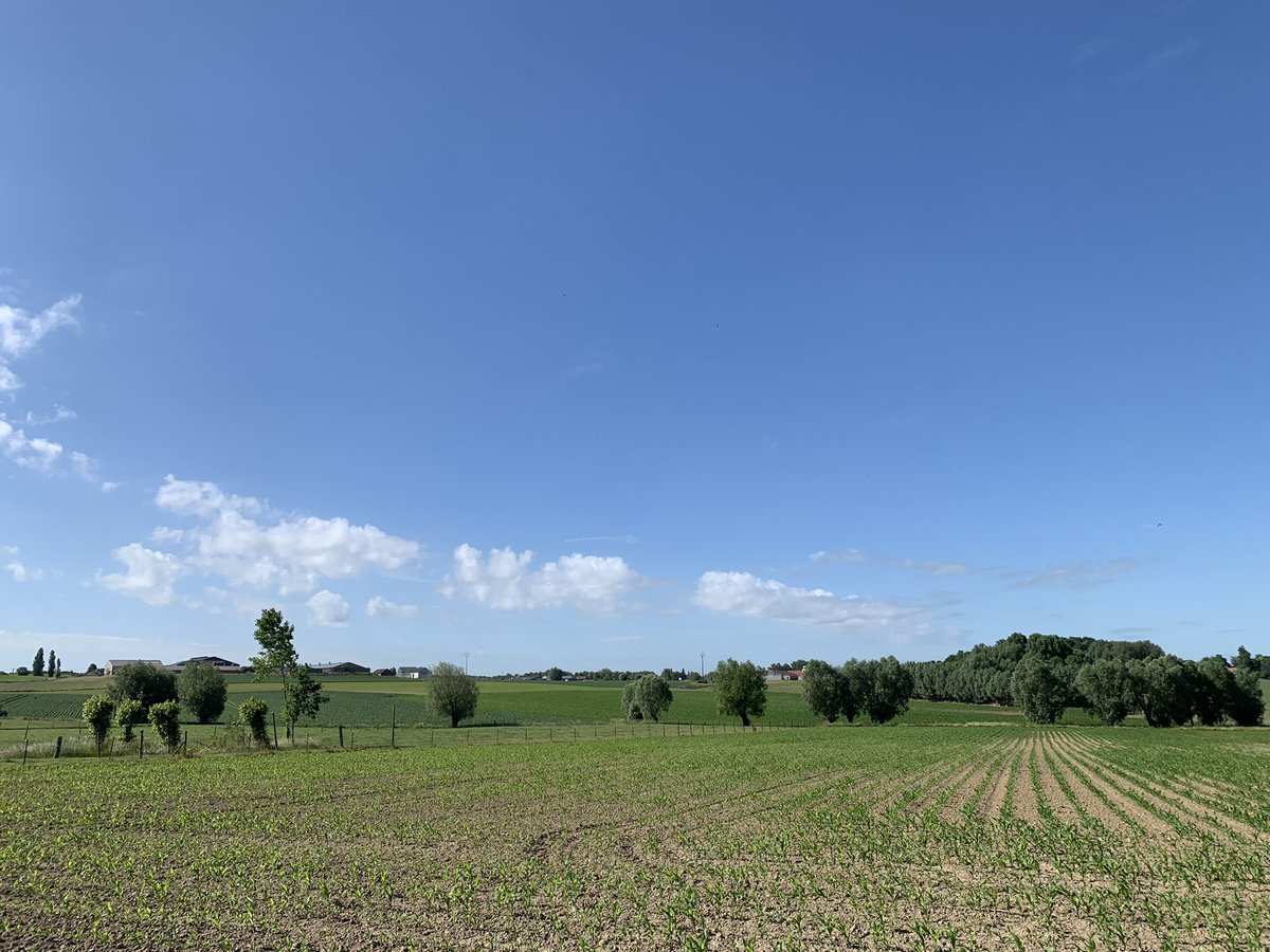 NicoClaeys's tweet photo. Prachtig weer in Ieper om 10u #vrtweer #fietsen https://t.co/rPgfZWH3xq