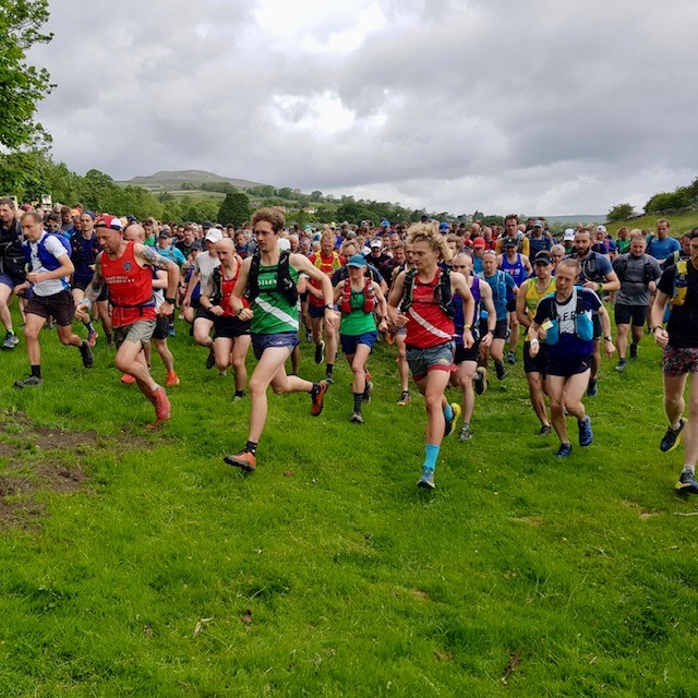 Swaledale OC tweet media