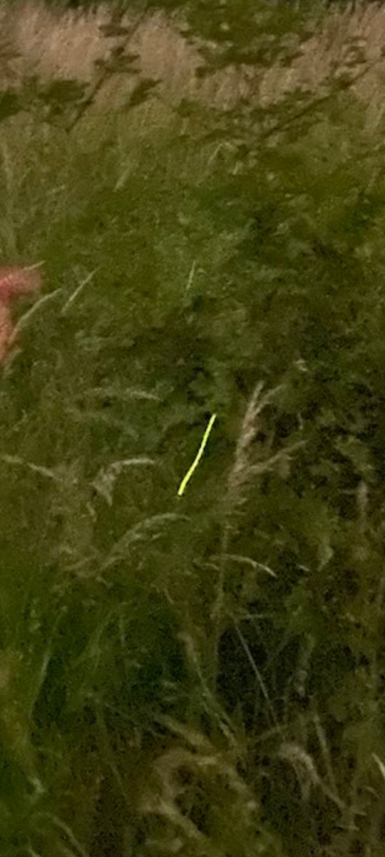 Christo Grozev tweet media