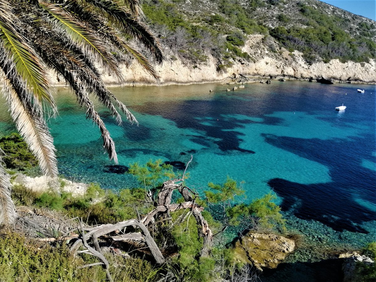UnescoVis's tweet photo. POSIDONIA, MEZUPORAT BAY ON BIŠEVO ISLAND IN VIS ARCHIPELAGO GEOPARK, CROATIA

#UNESCO  #geopark #Biševo #Croatia  #visarchipelago #posidonia #seagrass #ecology #sea https://t.co/QhsEV6stho