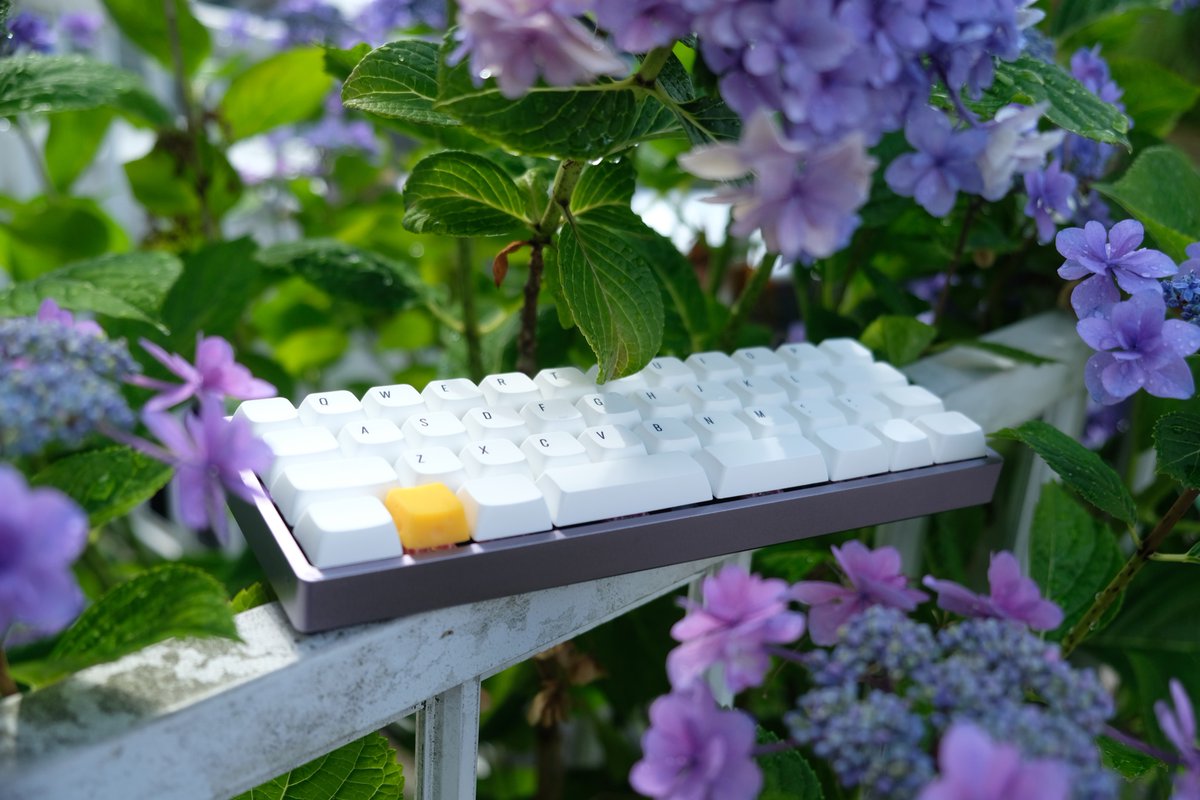 otahinosame's tweet photo. amenohana
Keyboard: #ALETH42 w/ Massdrop + OLKB Planck Case
Switch: Outemu Silent Forest, Gazzew Boba Gum
Keycap: NP PBT English Alphas + Blank, XDA Convex
Artisan: 穴あきチーズ キーキャップ by alg0002
#KEEB_PD #KEEB_PD_R100 https://t.co/G5cwgjFC1q