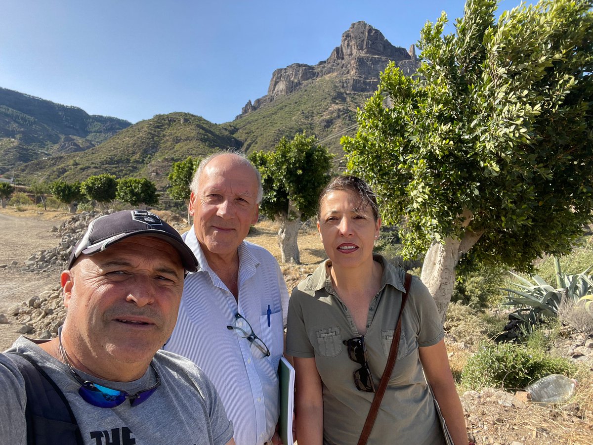 TEJEDA: Pedro Pablo Medina (Los Verdes)  acompañó a  la Presidenta de Bosques sin frontera Susana Domínguez constatandose  el mal estado de los árboles que fueron trasplantada hace cuatro años desde la calle Doctor Domingo Hernández Guerra del casco urbano de Tejeda.