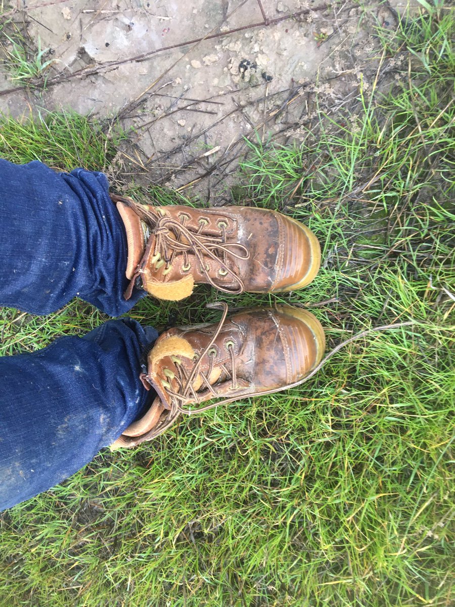 Lakebankcountry's tweet photo. #treeplant2021 complete!
Full credit to those who cleared this country because they did a particularly through job. 100 years later I’m trying my best to leave this land better than I found it 🌲 #lincar #pingrup #wetasashag #saltlake @landcarekat https://t.co/eC6NXTvvCf