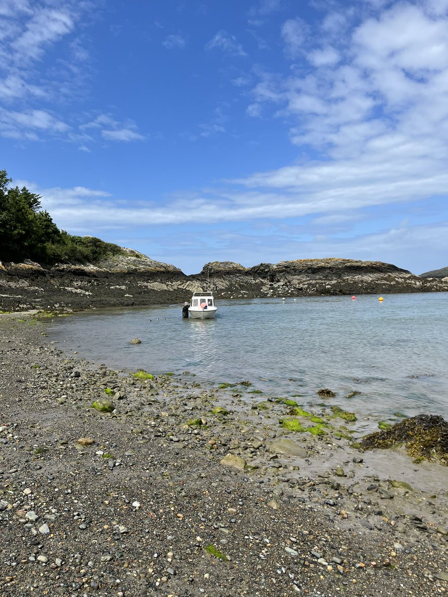 shinglyb's tweet photo. Morning world , Beautiful day in #Anglesey.
Stop looking at those charts and get out there and breathe it all in.
#NFT #NFTs #crypto #CryptoMarket #btc #eth https://t.co/Eo2YayOGlw