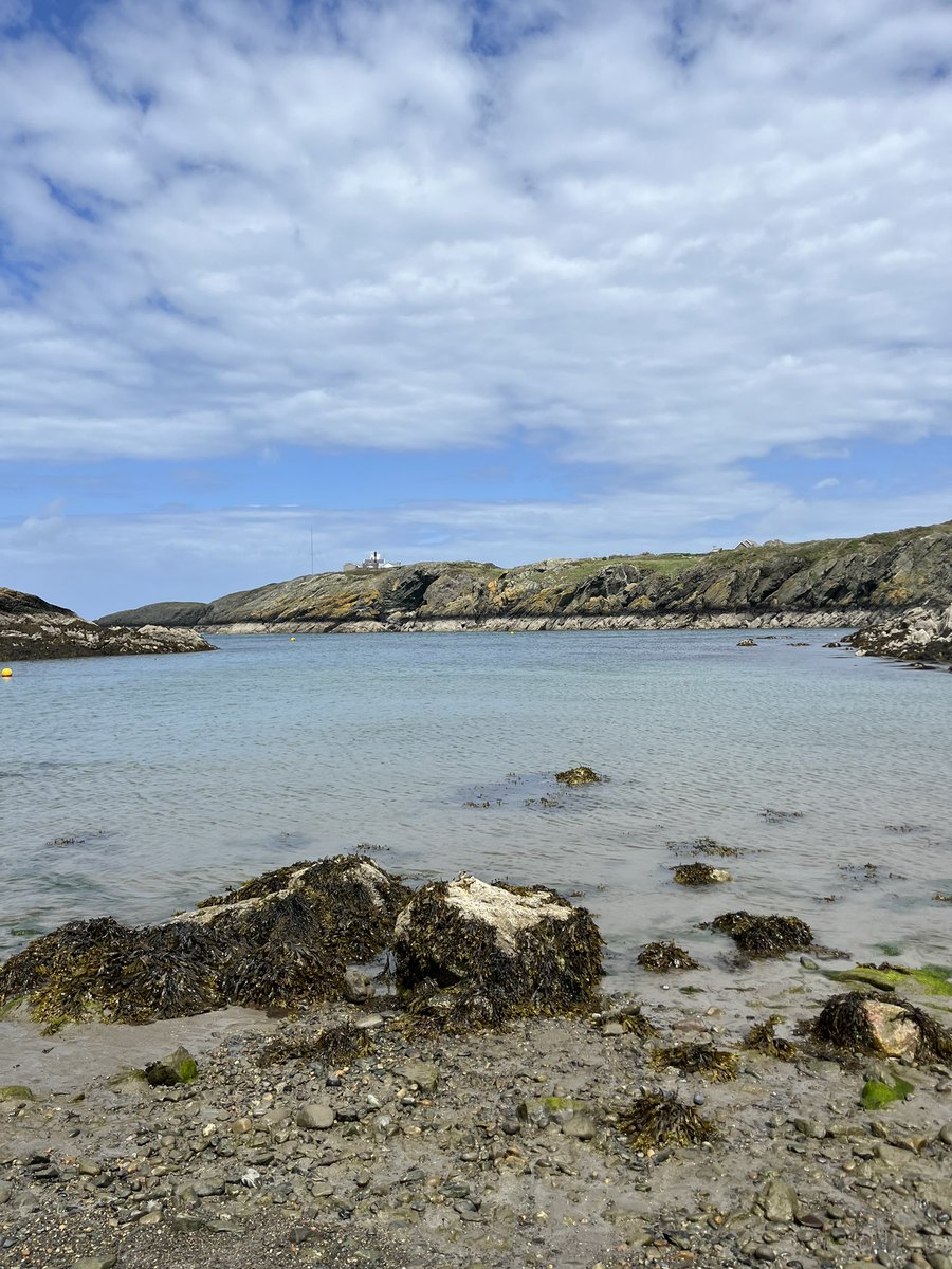 shinglyb's tweet photo. Morning world , Beautiful day in #Anglesey.
Stop looking at those charts and get out there and breathe it all in.
#NFT #NFTs #crypto #CryptoMarket #btc #eth https://t.co/Eo2YayOGlw