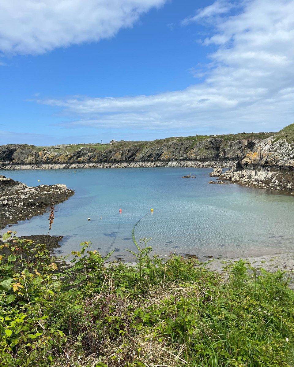 shinglyb's tweet photo. Morning world , Beautiful day in #Anglesey.
Stop looking at those charts and get out there and breathe it all in.
#NFT #NFTs #crypto #CryptoMarket #btc #eth https://t.co/Eo2YayOGlw