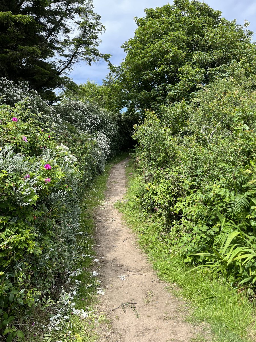 shinglyb's tweet photo. Morning world , Beautiful day in #Anglesey.
Stop looking at those charts and get out there and breathe it all in.
#NFT #NFTs #crypto #CryptoMarket #btc #eth https://t.co/Eo2YayOGlw