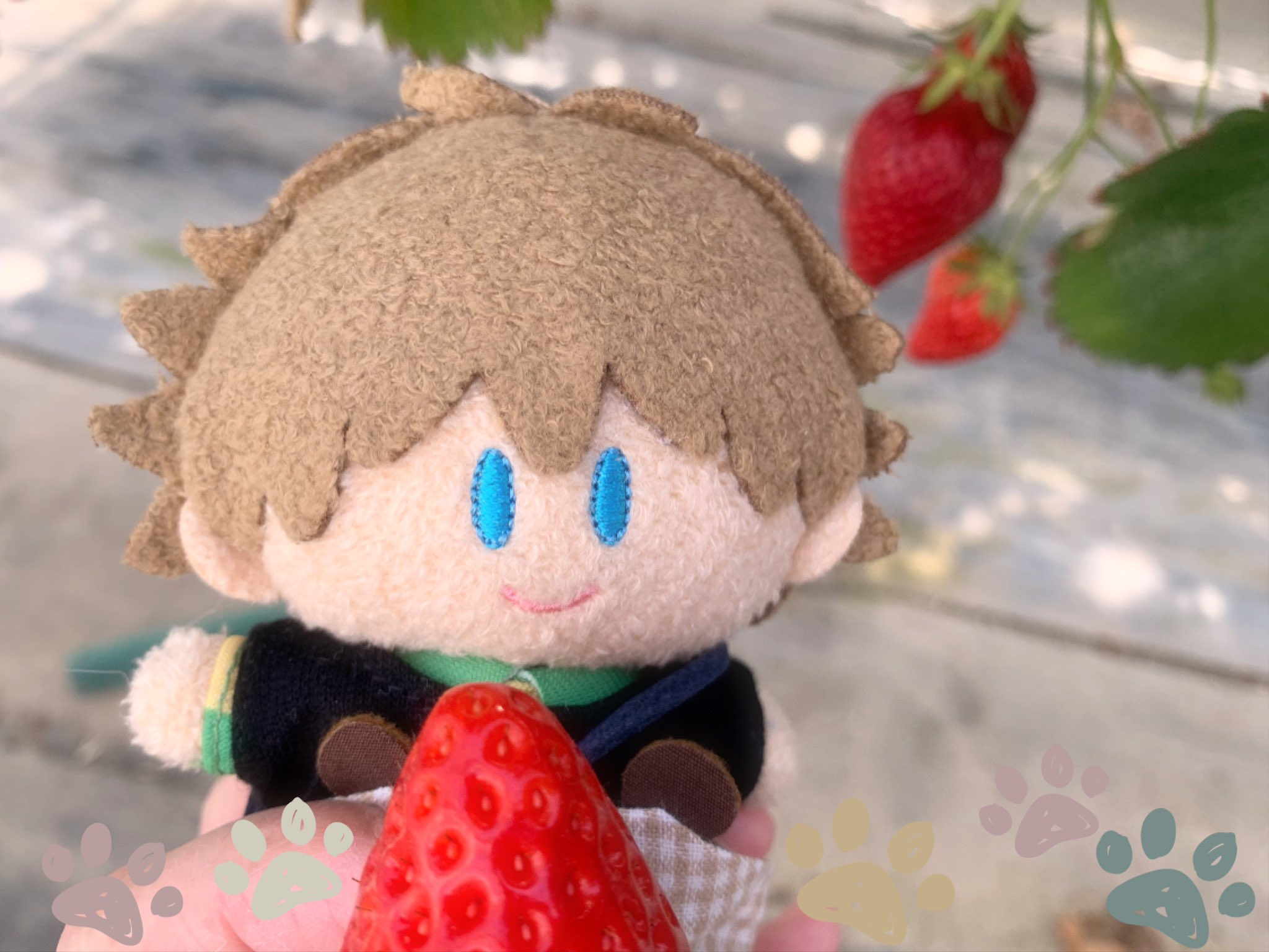 まめ お揃いサロペでいちご狩り はじめてのいちごおいしかったね T Co Zyyamnzpjm Twitter