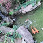 ツイートに含まれる画像