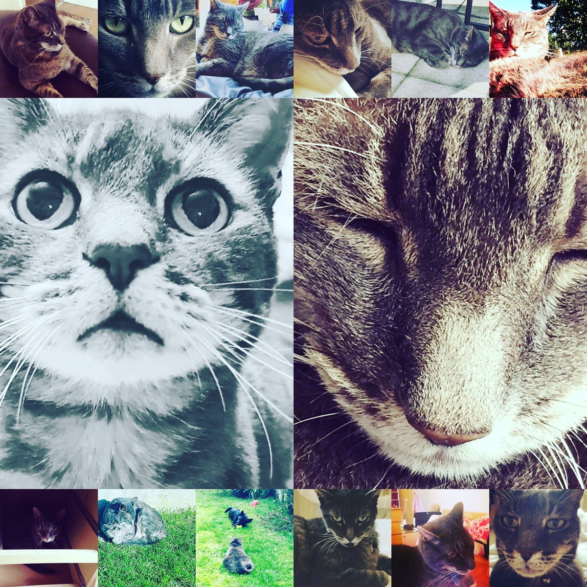KhrysKJ's tweet photo. Sleep tight old man :( https://t.co/6AThZiUWCV