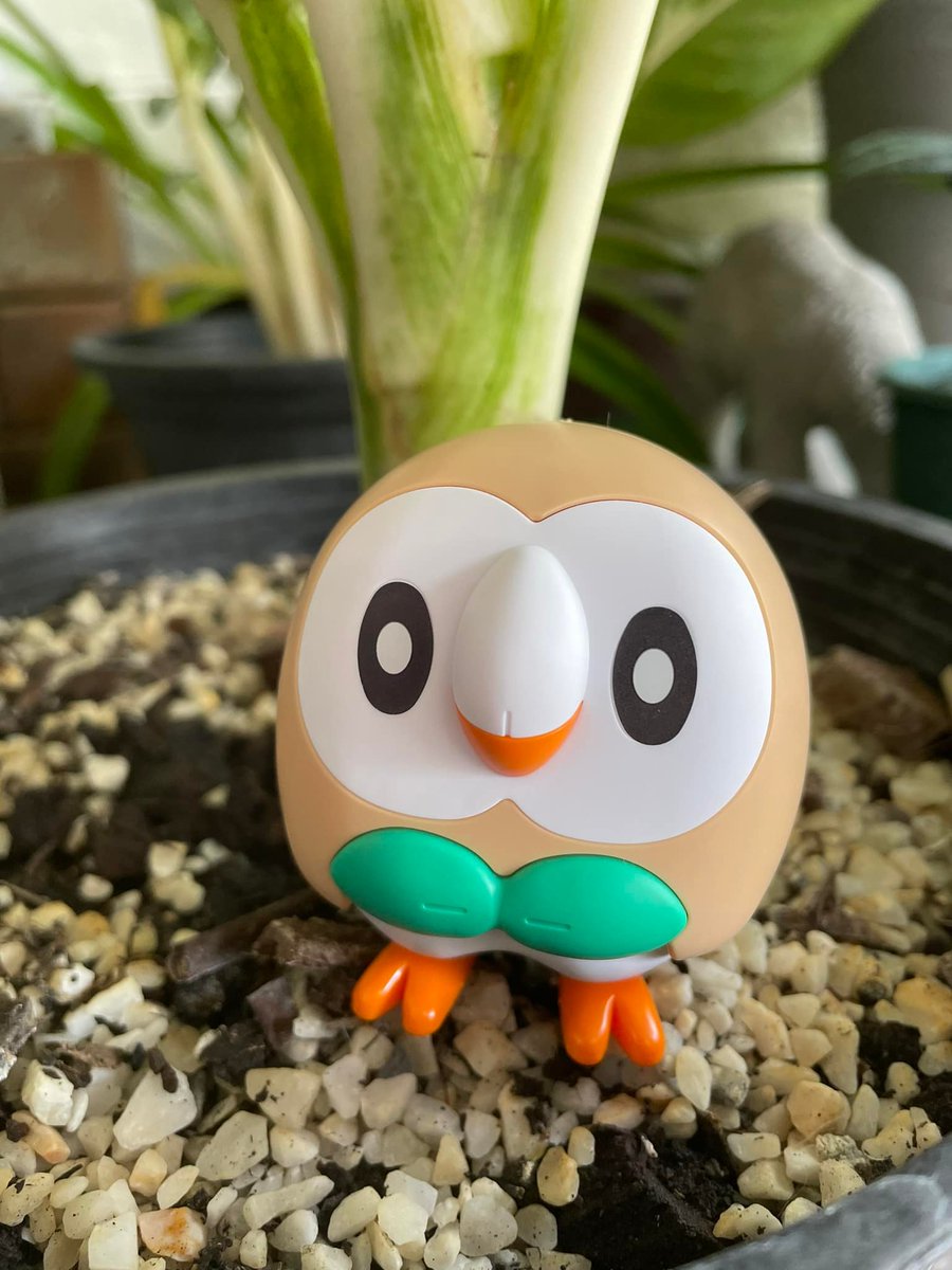 izgalala's tweet photo. Cozy with IZGA 😂🤣
NJ68 / 65% life 🍵 ft. モクロー (Rowlet) 🍃🦉
Pokémon PLAMO (POKEPLA) Quick 10
#matcha #keyboard #keycaps #keydous #computercable #pokémon #pokemon #pokepla #pokémonplamo #rowlet https://t.co/Mncq80KWP9