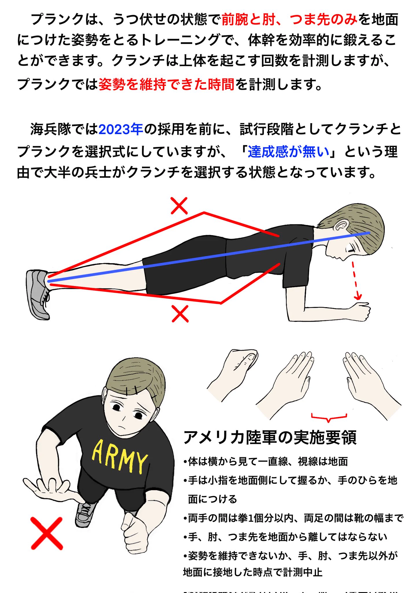 アメリカ軍が採用した新しい体力測定！！プランクについて解説！