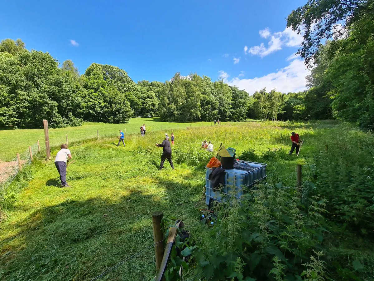 Greenhustlefest's tweet photo. Another enormously enriching Hustle Holt volunteer session. 

A huge thank you to our generous volunteers, many of whom tried their hands at traditional scythe mowing.

These days have a mycorrhizal feeling about them. We're all trees in search of a forest. https://t.co/Q81RUErHYW