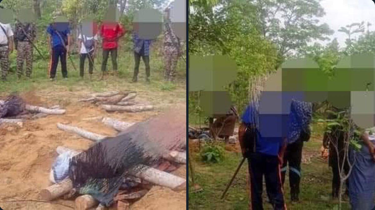 YuTun37775894's tweet photo. Two members of Yaw Defense Force were reported killed last Wednesday in a clash with the junta army advancing the Gangaw area in northwest Myanmar.   #2022Jun12Coup #WarCrimesOfJunta #WhatsHappeningInMyanmar https://t.co/mwhUsxMLLD
