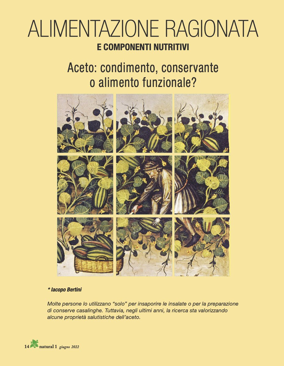 Natural1online's tweet photo. ALIMENTAZIONE RAGIONATA Giugno 2022
Aceto: condimento, conservante o alimento funzionale?
clicca sul link per leggere l'intero articolo: https://t.co/lkn5K8MOsF https://t.co/ZxfdAQ7Uy5