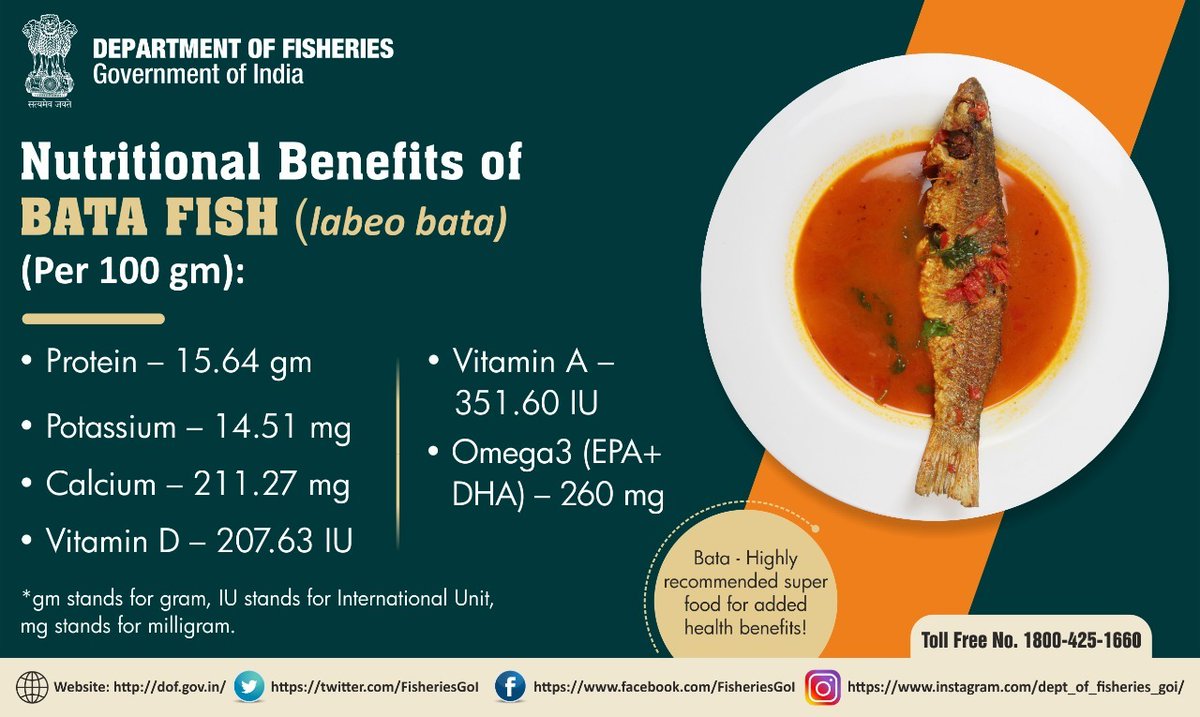 FisheriesGoI's tweet photo. Nutrient packed Bata, a highly recommended #SuperFood: Add to your diet for health benefits.
#DeptofFisheries #Fish4Poshan #BataFish #EatFishStayHealthy https://t.co/cHD0Sxuytl
