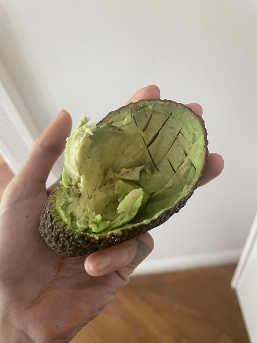 opened an avocado like a sicko https://t.co/8oK96LSnrM