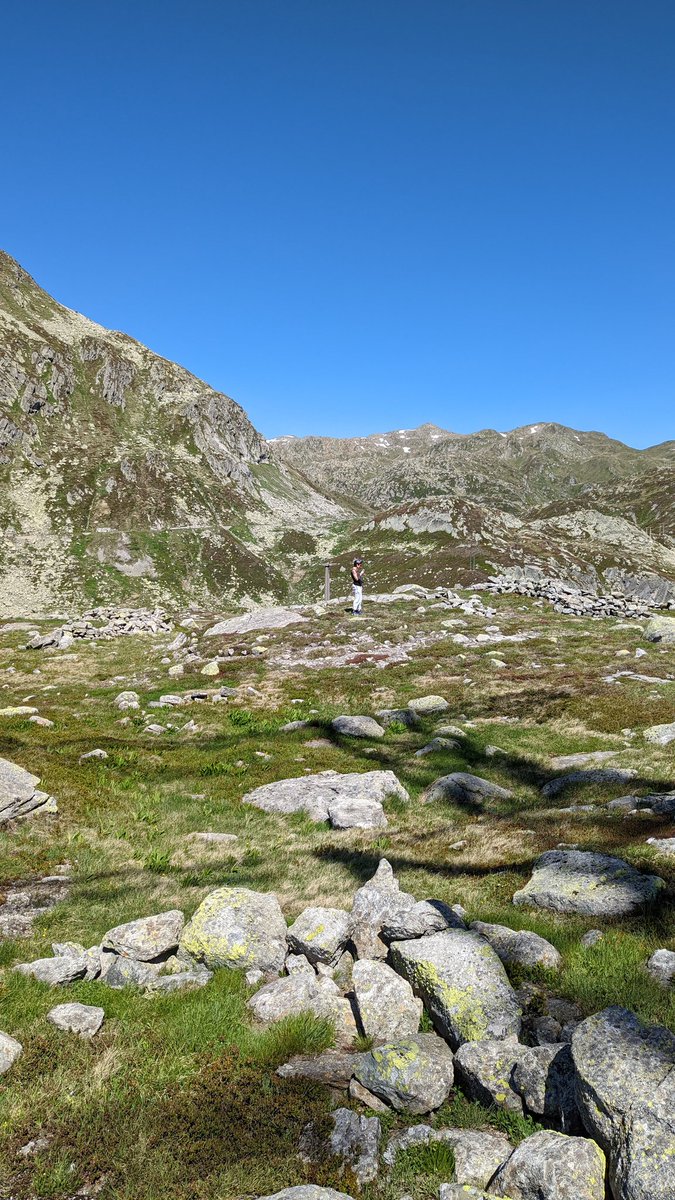 Murdoch Monkey tweet media