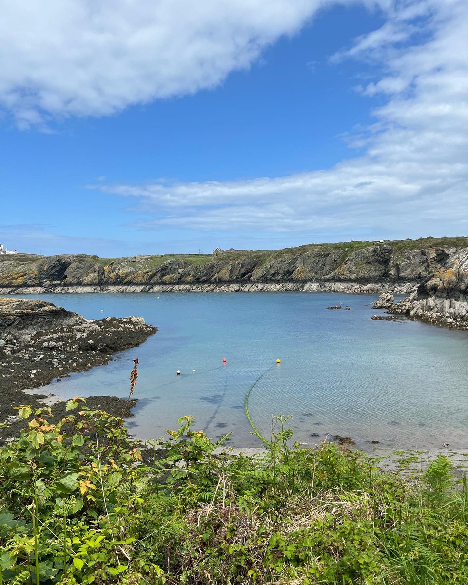 shinglyb's tweet photo. @markshaw Productive morning your having there Ser, however I see your chores and raise you some sheer natural beauty.
#Anglesey https://t.co/vGp5NE4nyK