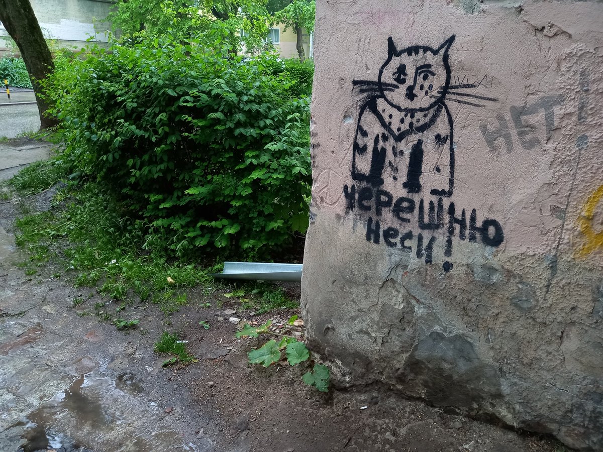 peter_starcev's tweet photo. @Etopizdetc Кёнигсбергский кот https://t.co/zRpoc1c4xM