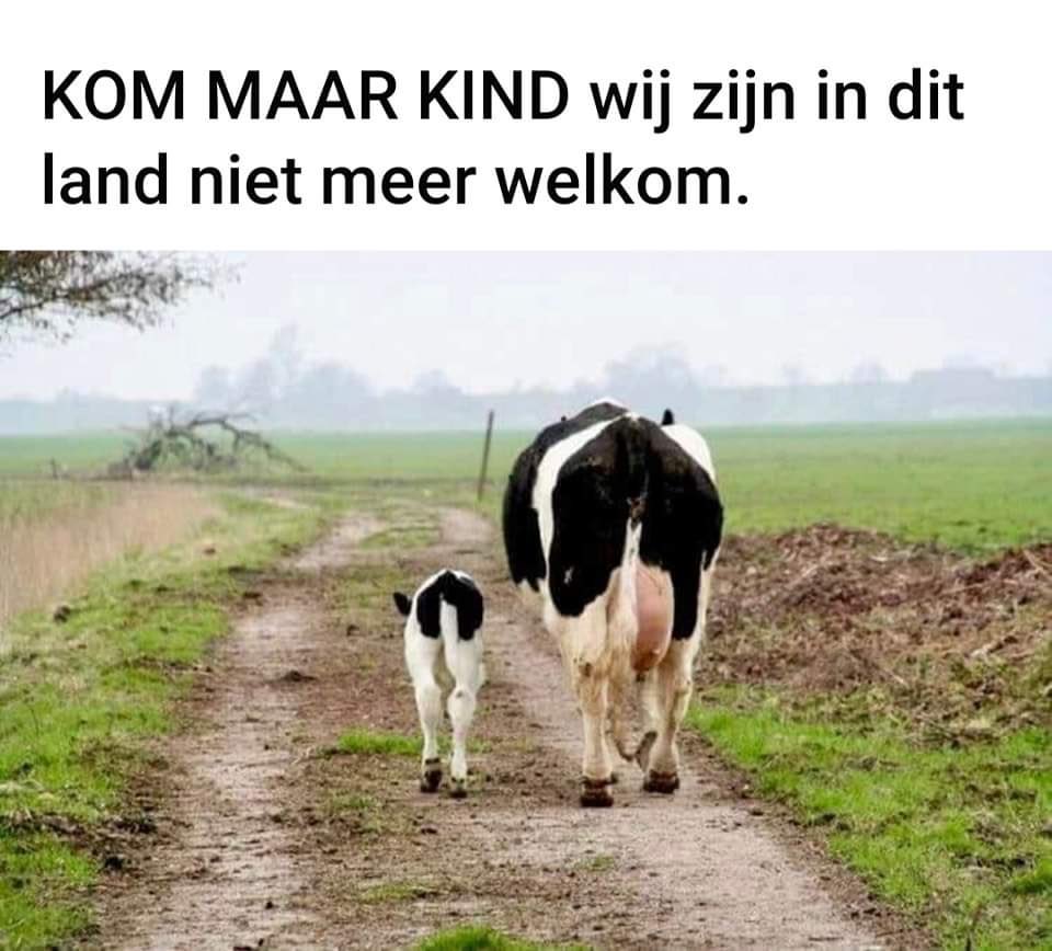 Zo ver zijn we dus in dit geweldige land