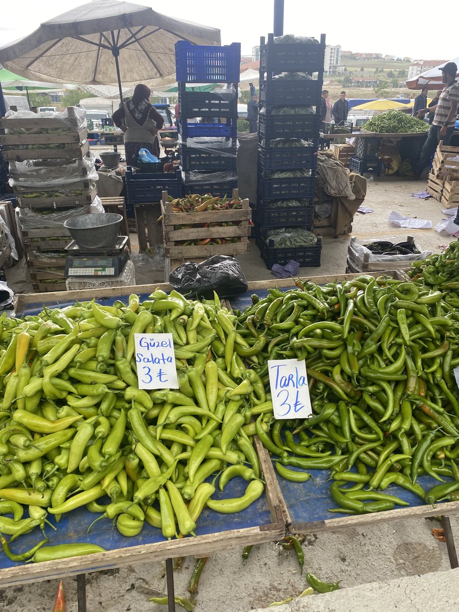 Yuşa Övenç tweet media