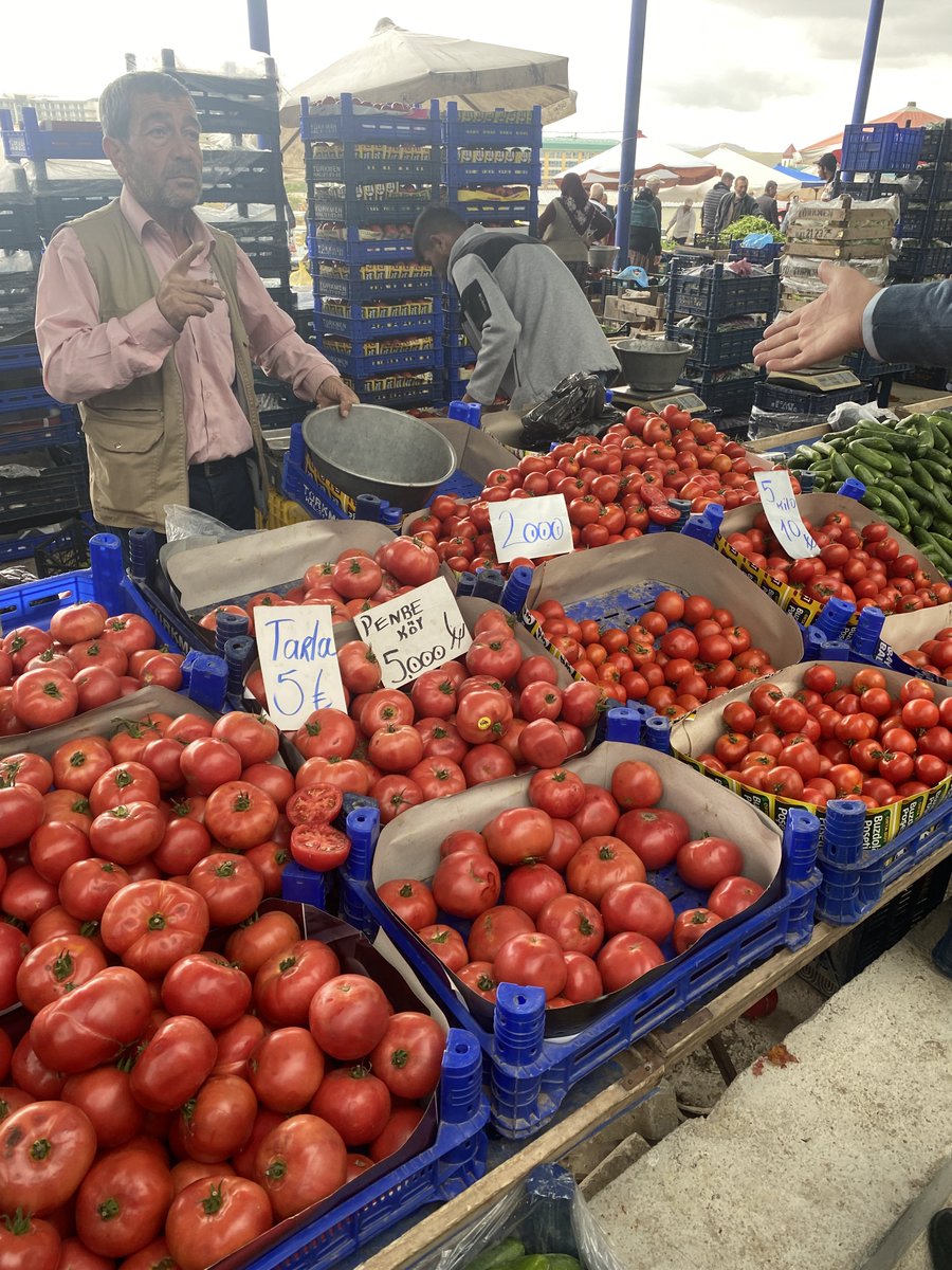 Yuşa Övenç tweet media