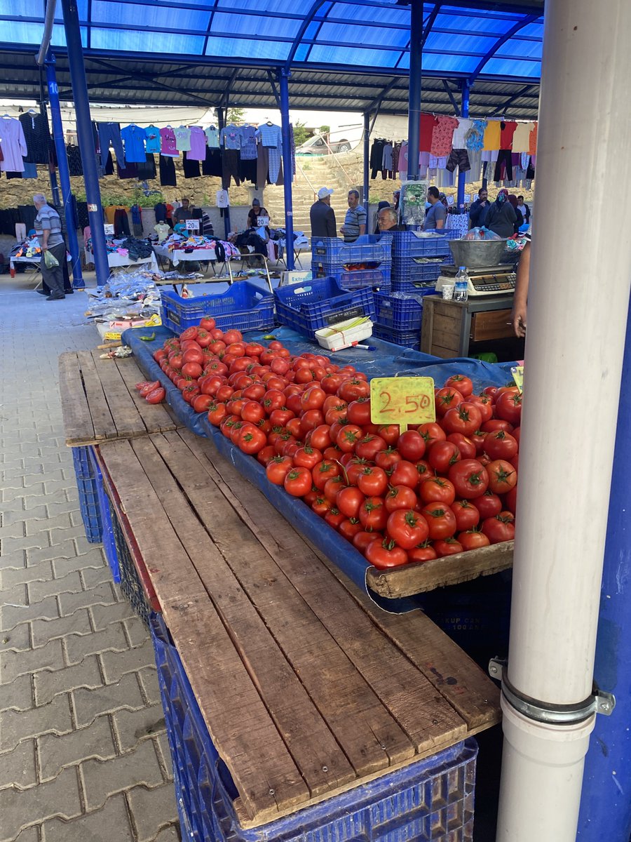 Yuşa Övenç tweet media