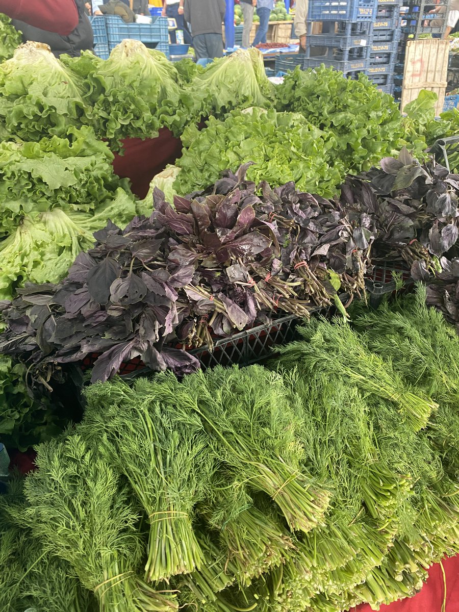 Yuşa Övenç tweet media