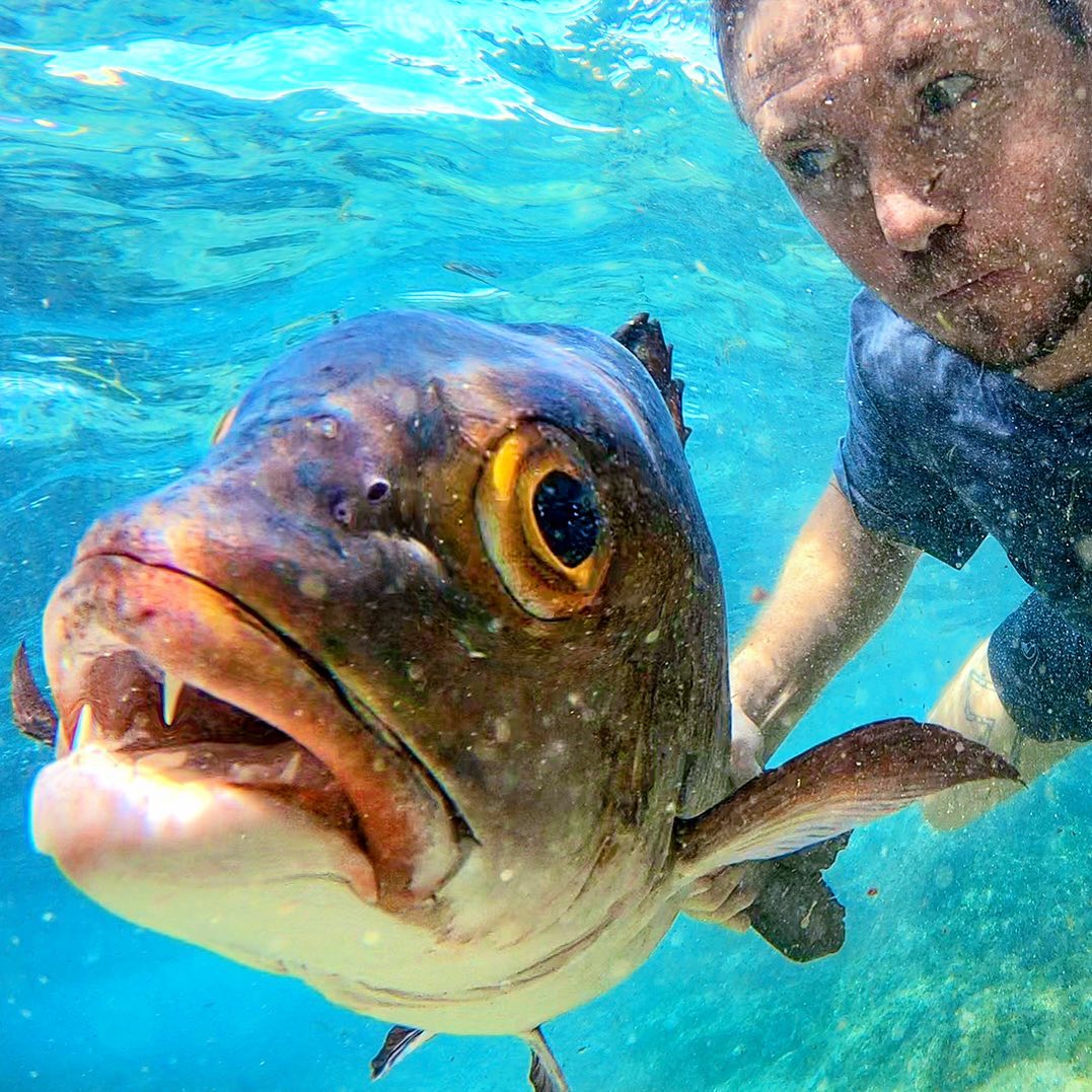 FISHINGBASSEMP's tweet photo. Hahaha 😂
 #catchandrelease #bass https://t.co/XJ6xmSKNo1