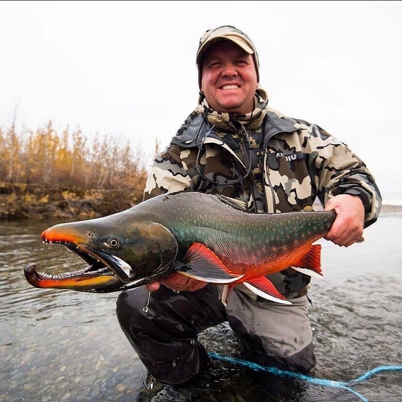FISHINGBASSEMP's tweet photo. “❎Look at the gnarly dolly😳 Follow @FISHINGBASSEMP for more daily❎ . . . . . :) . . . 
Credits 📸 @flyfishingnuts 
#flyfish #flyfishing https://t.co/7I19z3BuG9