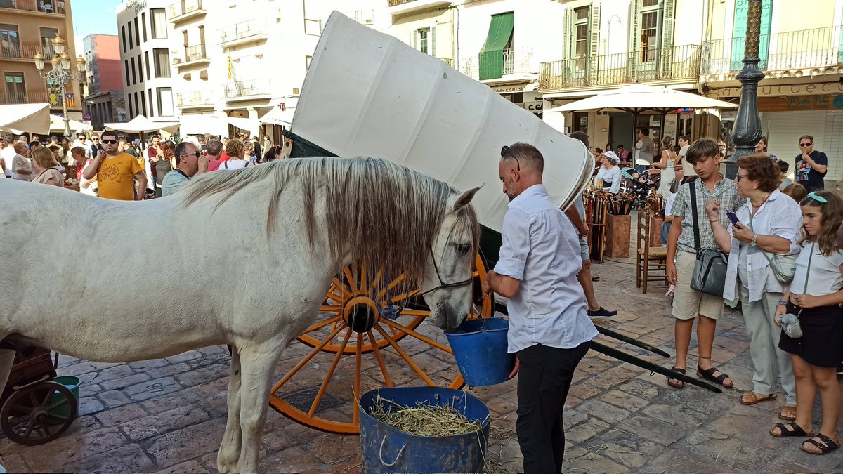 EdgarSumalla's tweet photo. Sábado 100% #Reus! ✅ 
🍴 Desayuno popular fiestas #Carrilet
🎭 40 aniversario @reusballgitanes
🎶 Concierto de "aCORds Reus" en las fiestas del barrio #Niloga
🎩 Mercat al #Mercadal!
1/2 https://t.co/XpAzGawKwl
