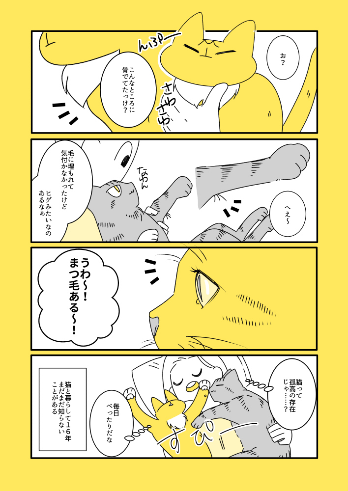 猫と子猫と発見 
https://t.co/hrKExql8Qh 