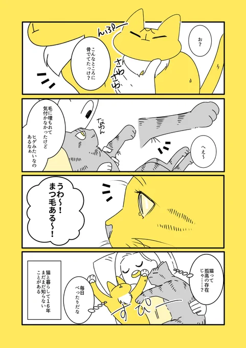 猫と子猫と発見 
https://t.co/hrKExql8Qh 