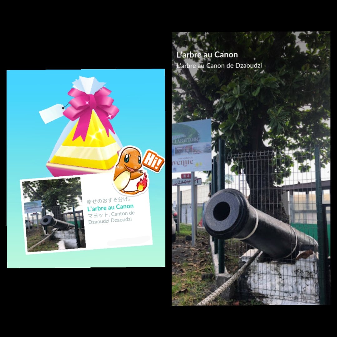 Namizousan マヨット島はアフリカ大陸とマダガスカル島の間にあるコモロ諸島の島でフランスの海外県だそう 1つ勉強になりました Today S Pokemon Go L Arbre Au Canon From Mayotte Island Thank You T Co F78hzj6sit Twitter