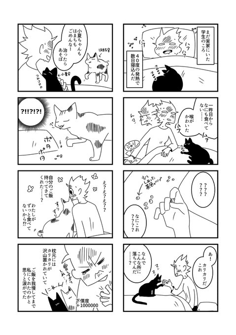 番外 実家の猫たちと 
https://t.co/AtHoOQm55y 