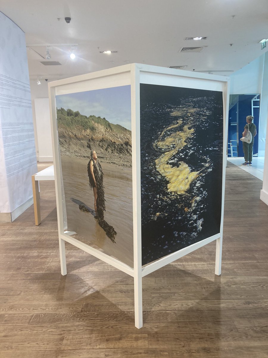 lauriebrought0n's tweet image. Very very proud of everyone @DocPhotUSW who has helped put our final year gradshow together! 

Packed lunch is running all week long in Saint David’s shopping centre, Cardiff. 

Come down and see the incredible work that a very talented bunch have put on!