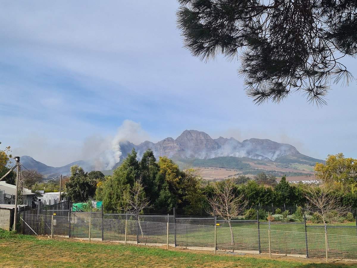 Pippa Carter tweet media