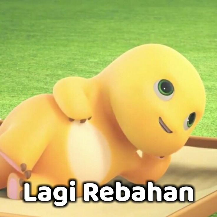 aksakedua's tweet photo. https://t.co/IT98DEQbOs