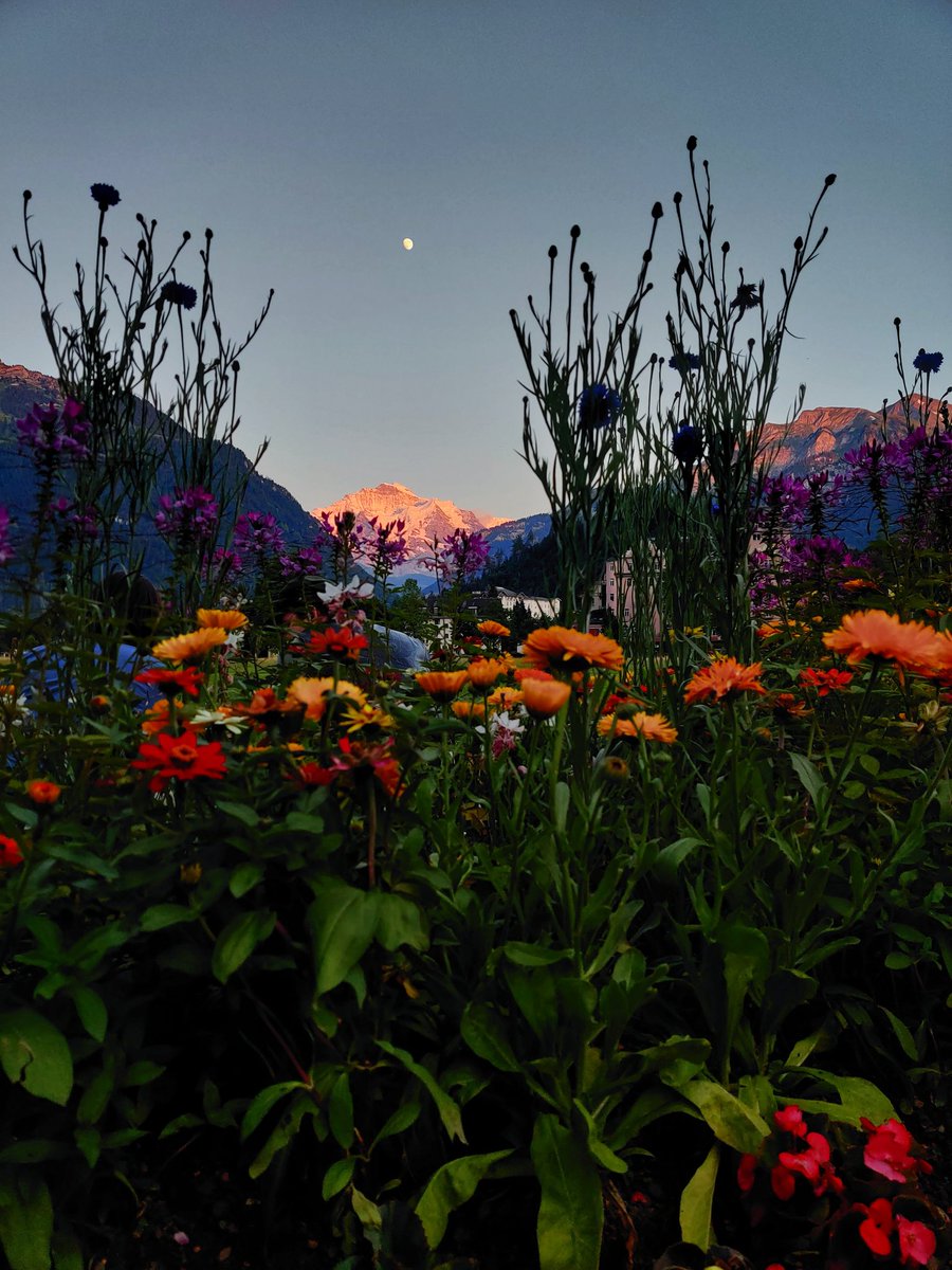 Nehal_404's tweet photo. Beautiful Switzerland!
#ShotonOnePlus #ShotonOnePlus7Pro https://t.co/Fc5NNfSdqr
